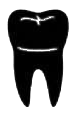 tooth_17